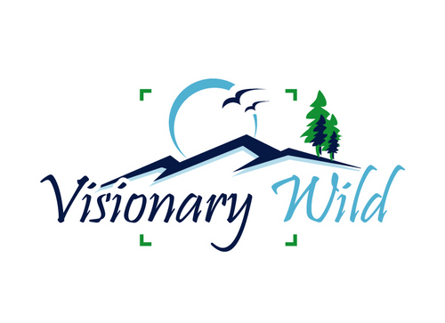 bf3928193b46582592b768485848921e616377