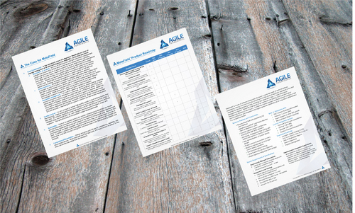 Agile Frameworks Datasheet - Software