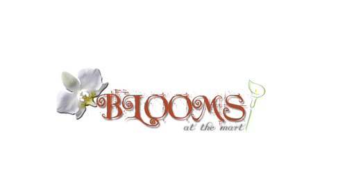 b060ce0ce413fc26a3a784a142c2f3af779905