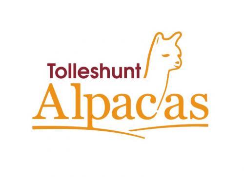 Alpaca Farm Logo - Animals