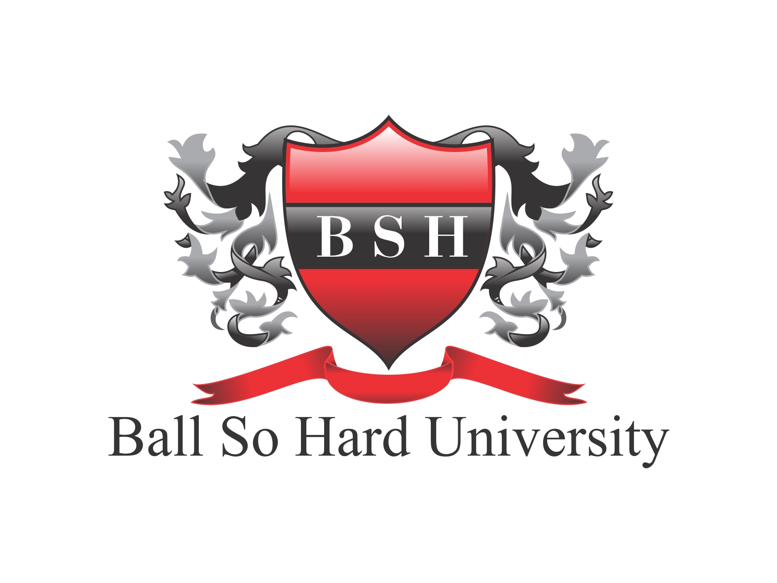 Ball So Hard Univeristy by Ballsohard