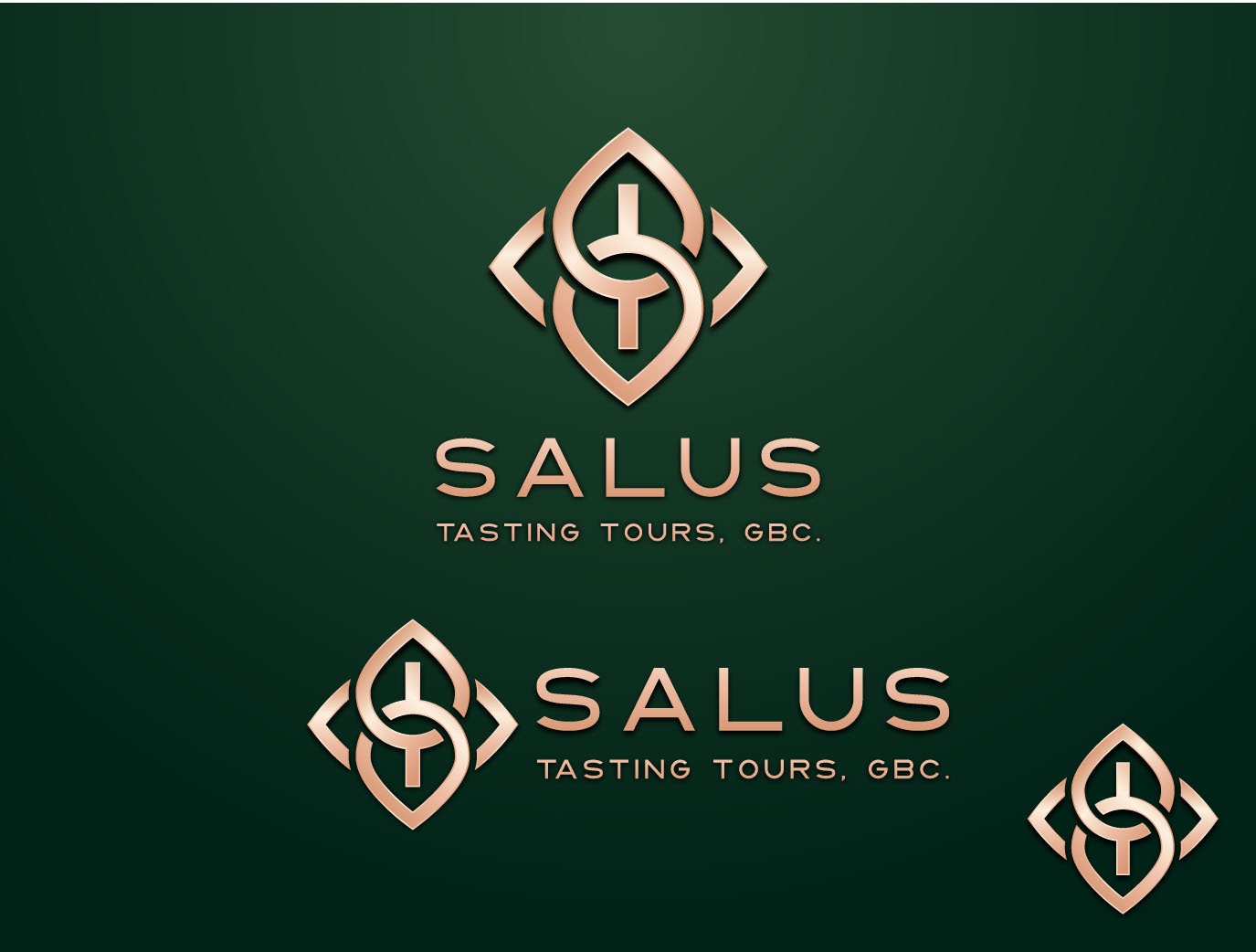 Upscale logo for high end food tour brand by STTGBC