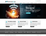 Website for IT Consulting Company