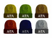 ATA Financial Services, Inc