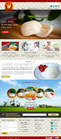 Complete website design for a retail edible bird's nest business