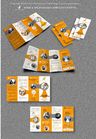 Brochure/marketing materials for a technology licensing company