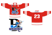 Hockey Team Jersey and Logo design